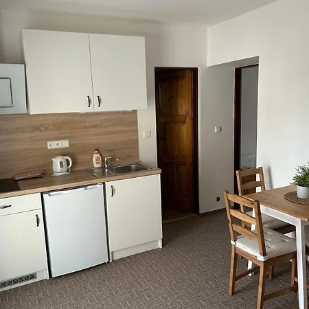 Apartment U Palavy