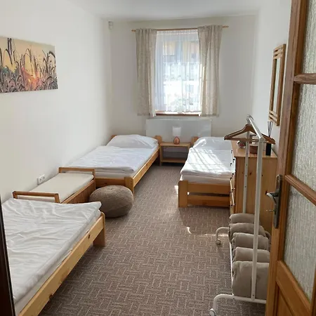 Apartment U Palavy