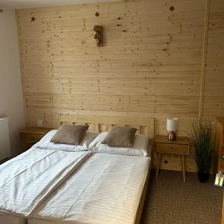 Apartment U Palavy