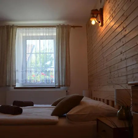 Apartment U Palavy